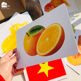  Bộ thẻ học thông minh Flashcard Glenndoman, đồ chơi giáo dục sớm Annambooks tặng video tráo thẻ tiếng Anh & tiếng Trung 
