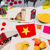  Bộ thẻ học thông minh Flashcard Glenndoman, đồ chơi giáo dục sớm Annambooks tặng video tráo thẻ tiếng Anh & tiếng Trung 