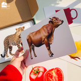  Bộ thẻ học thông minh Flashcard Glenndoman, đồ chơi giáo dục sớm Annambooks tặng video tráo thẻ tiếng Anh & tiếng Trung 