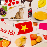  Bộ thẻ học thông minh Flashcard Glenndoman, đồ chơi giáo dục sớm Annambooks tặng video tráo thẻ tiếng Anh & tiếng Trung 