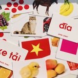  Combo Thẻ học thông minh Annambooks và 3000 thẻ học điện tử Việt, Trung, Anh với 1050 video tráo thẻ 