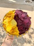Khoai Lang Sấy Mật Ong mix 2 loại (vàng + tím)