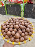 Hạt Macca Lâm Đồng
