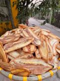 Chuối Sấy Mộc Không Đường [màu sáng]