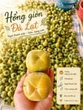 Hồng Giòn Đà Lạt (KG)