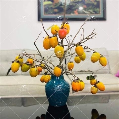 Cành Hồng Tươi | Đặc sản Đà Lạt