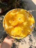 Thơm Sấy Dẻo