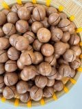 Hạt Macca Lâm Đồng