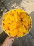 Mít Thái Sấy Giòn dạng ống