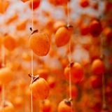 Hồng Treo Gió Cầu Đất Đà Lạt [kèm hộp] - Hồng Treo Gió 25 ngày | 500gr | Đặc sản Đà Lạt