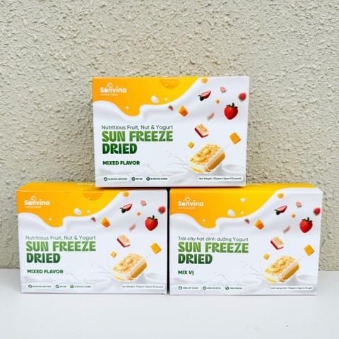 Sữa chua trái cây hạt dinh dưỡng | Hộp 12 thanh | Đặc sản Đà Lạt