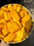 Mít Thái Sấy Giòn dạng ống