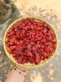 Dâu Tây Sấy Dẻo [sấy lạnh]