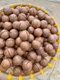 Hạt Macca Lâm Đồng