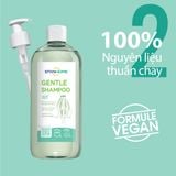  Dầu gội cho da đầu nhạy cảm không xà phòng, không sulfate, không silicone GENTLE SHAMPOO 5