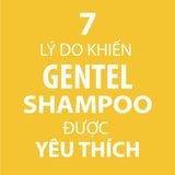  Dầu gội cho da đầu nhạy cảm không xà phòng, không sulfate, không silicone GENTLE SHAMPOO 11