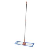  Cây lau nhà san hô 60 