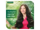  PALMOLIVE Dầu Gội Xả Chai 600ml Óng Ả Suôn Mượt Dưỡnng Tóc 