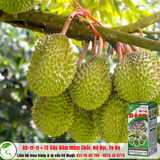 Sản phẩm NPK bổ sung vi lượng 33-11-11+TE 