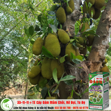  Sản phẩm NPK bổ sung vi lượng 33-11-11+TE 