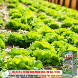  Sản phẩm NPK bổ sung vi lượng 33-11-11+TE 