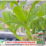  Sản phẩm NPK bổ sung vi lượng 33-11-11+TE 