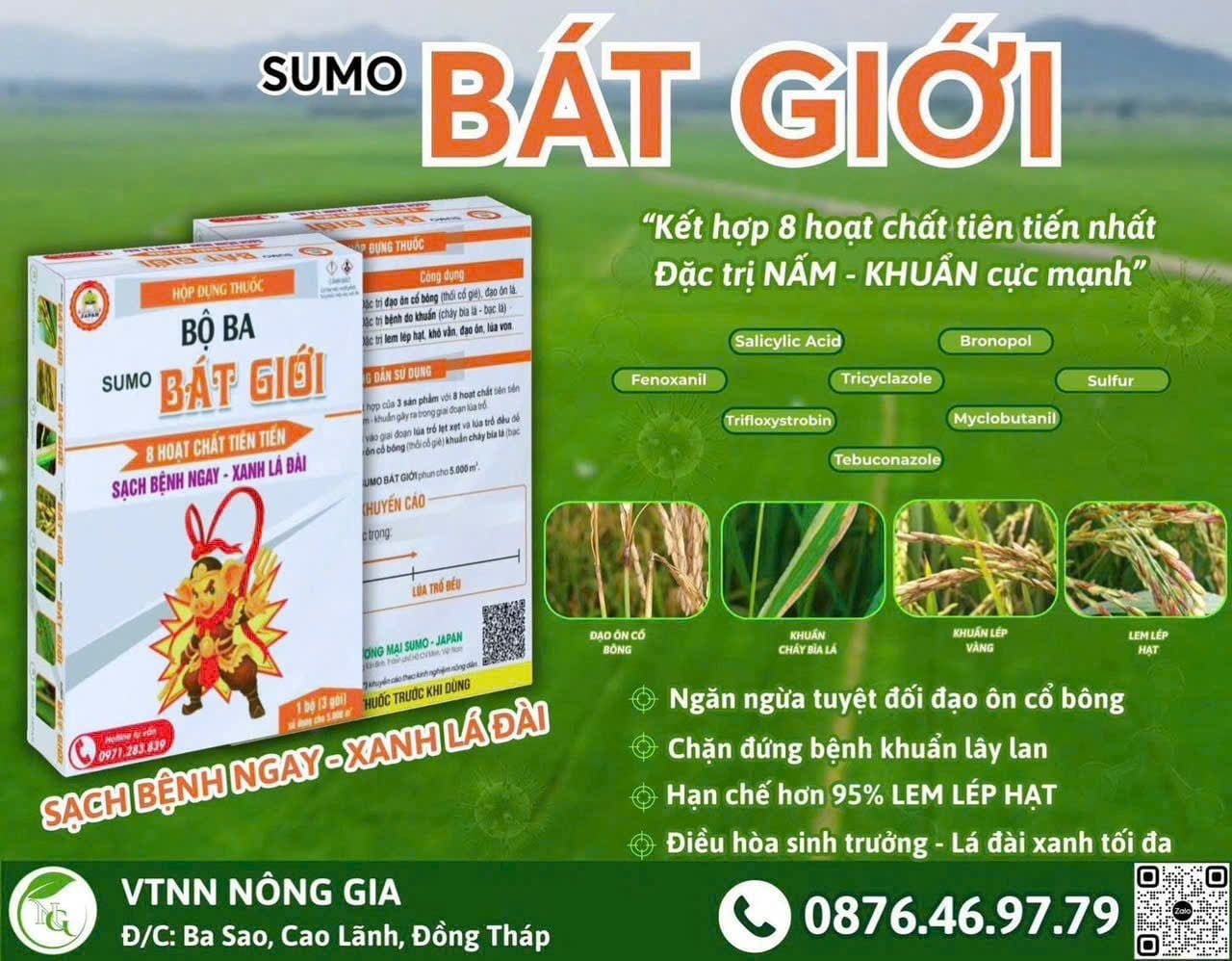  BỘ BA SUMO BÁT GIỚI 