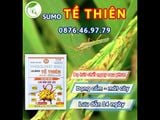 SUMO TỀ THIÊN 40GRAM