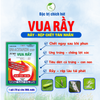  VUA RẦY 