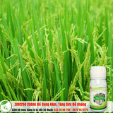  Sản phẩm bổ sung vi lượng ZINC750 
