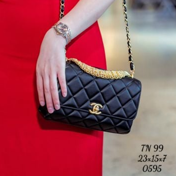 TN100 Túi Nữ Louis Vuitton size: 23cm