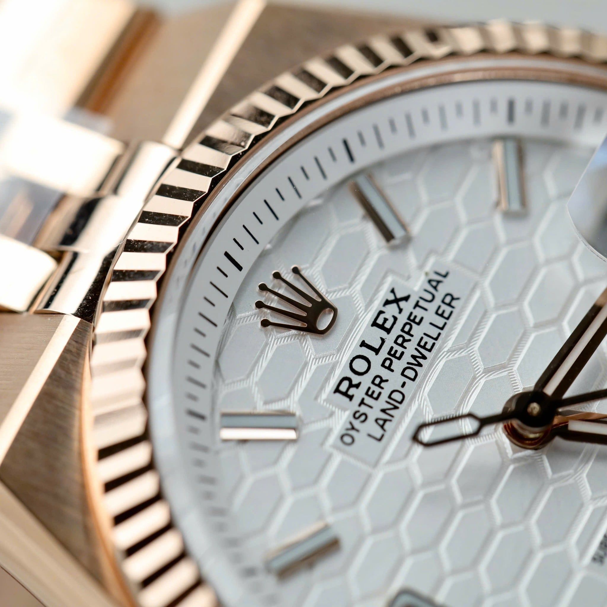 Rolex Oyster Perpetual Land-Dweller 127334 & 127336 Vàng Everose Mặt số Trắng