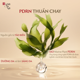  Phấn nước trang điểm Nhân sâm đen 