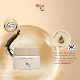  Kem dưỡng sáng da Nhân sâm đen 30g 