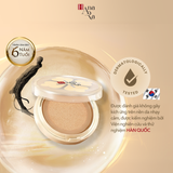  Phấn nước trang điểm Nhân sâm đen 