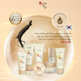  Sữa rửa mặt Nhân sâm đen 30ml 