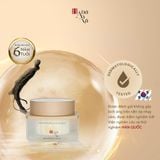  Kem dưỡng sáng da Nhân sâm đen 50g 