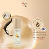  Tinh chất dưỡng sáng da Nhân sâm đen 