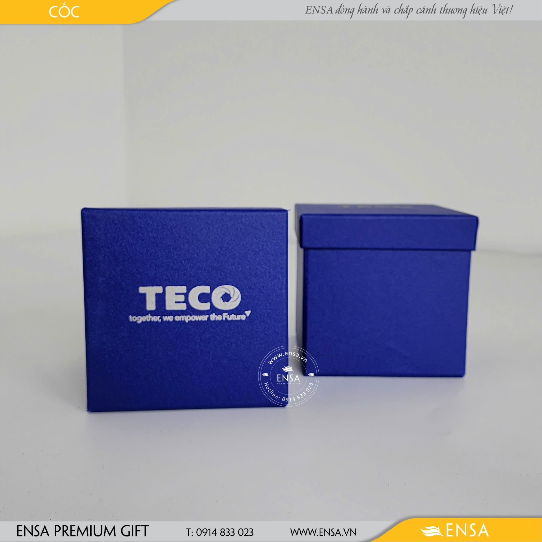  CỐC SỨ (TECO) 