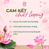  Trà Gạo Lứt Đen + Gừng - Ba Tre Đồng Tháp 