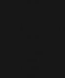 Midnight Black, PL9099 FN