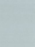 Silver, PL 0049 T, G