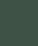Military, PL9096 FN