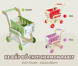Xe đẩy đồ chơi HM290 Hermon Rabit