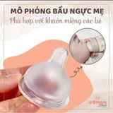 Núm ti Signature 1P Ubmom