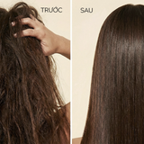  Dầu Gội Suôn Mượt Tinh Dầu Argan Morocco NATUFRES Moroccan Secret 