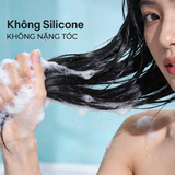  Dầu Gội Sạch Gàu Muối Biển & Trái Nhàu Hawaii NATUFRES Hawaiian Breeze 