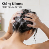  Dầu Gội Phục Hồi Hư Tổn Vang Đỏ Pháp NATUFRES French Chic 