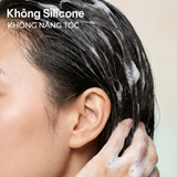  Dầu Gội Suôn Mượt Tinh Dầu Argan Morocco NATUFRES Moroccan Secret 