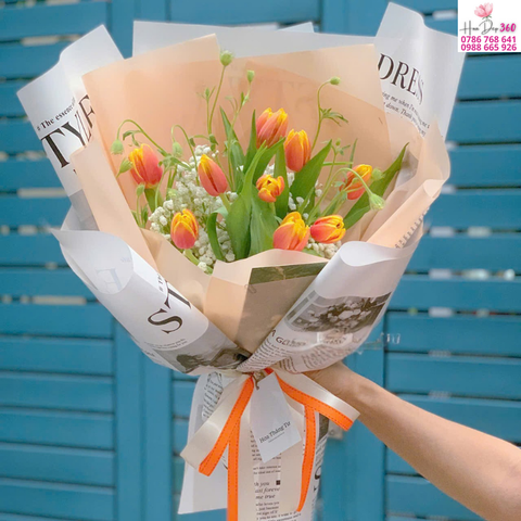 Tulip Cam Nắng Mai